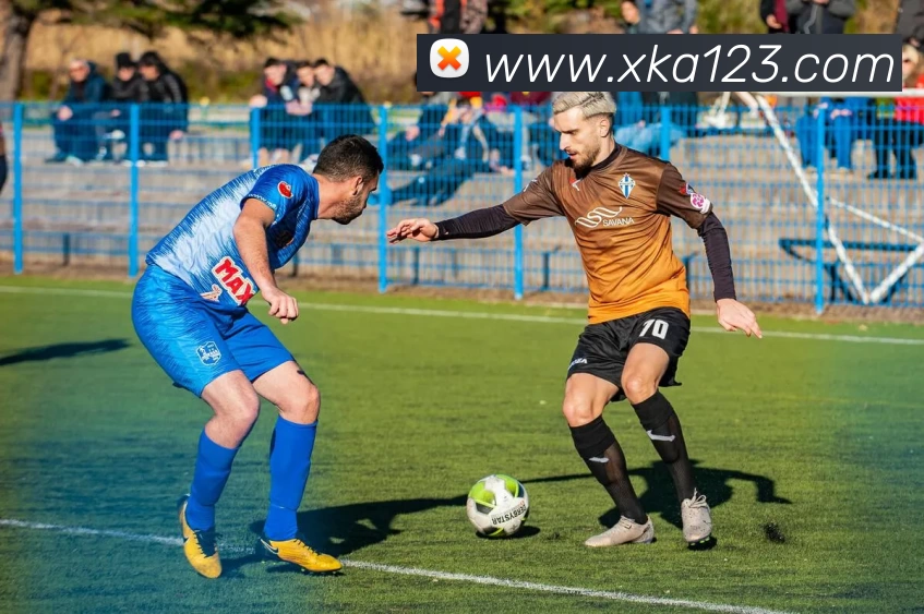 开云(中国)Kaiyun·官方网站 - 登录入口平台生态图